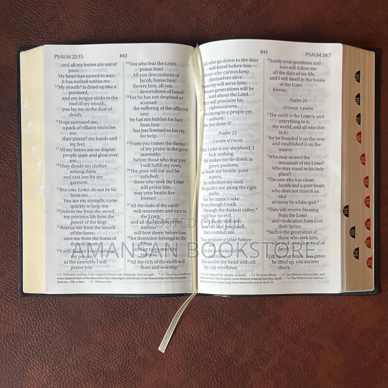 Giant Print Niv Bible