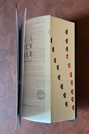 Giant Print Niv Bible