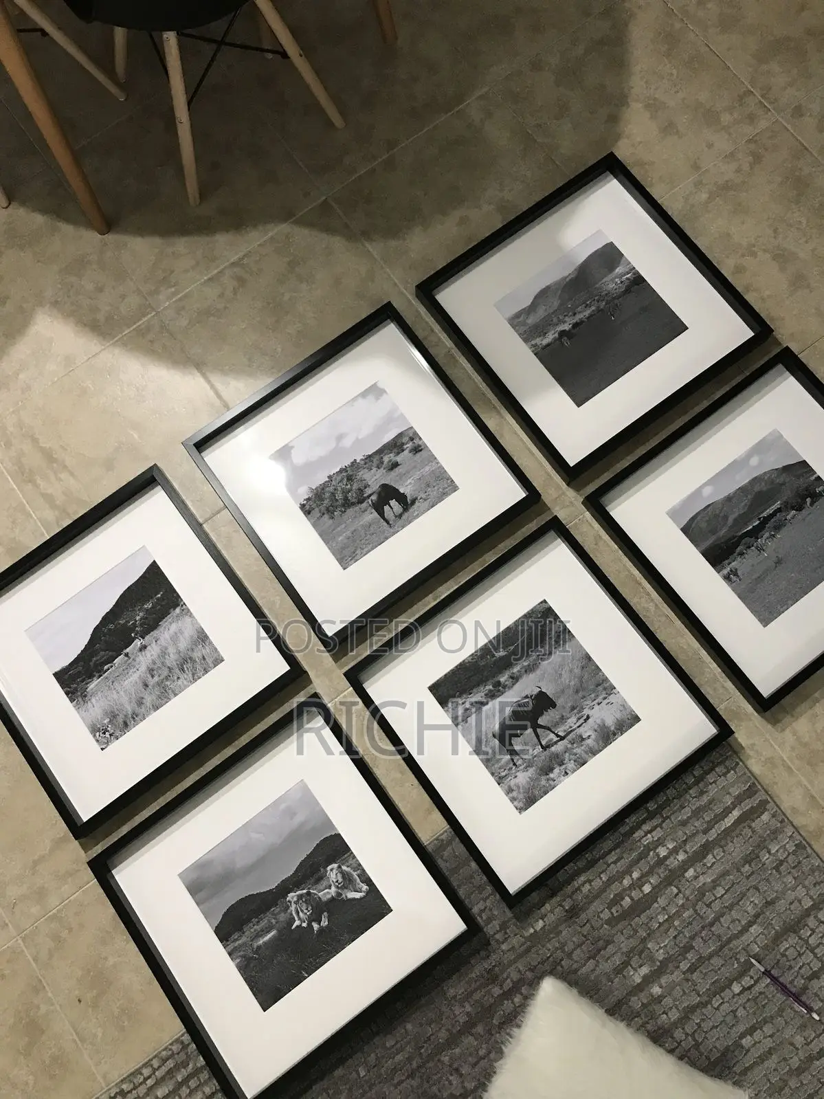 Frames Available
