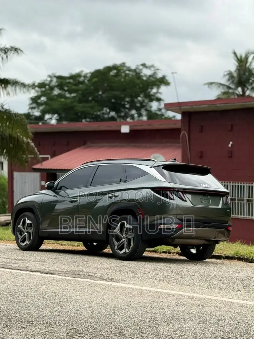 Hyundai Tucson Limited 2023 Gray