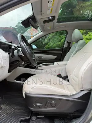 Hyundai Tucson Limited 2023 Gray