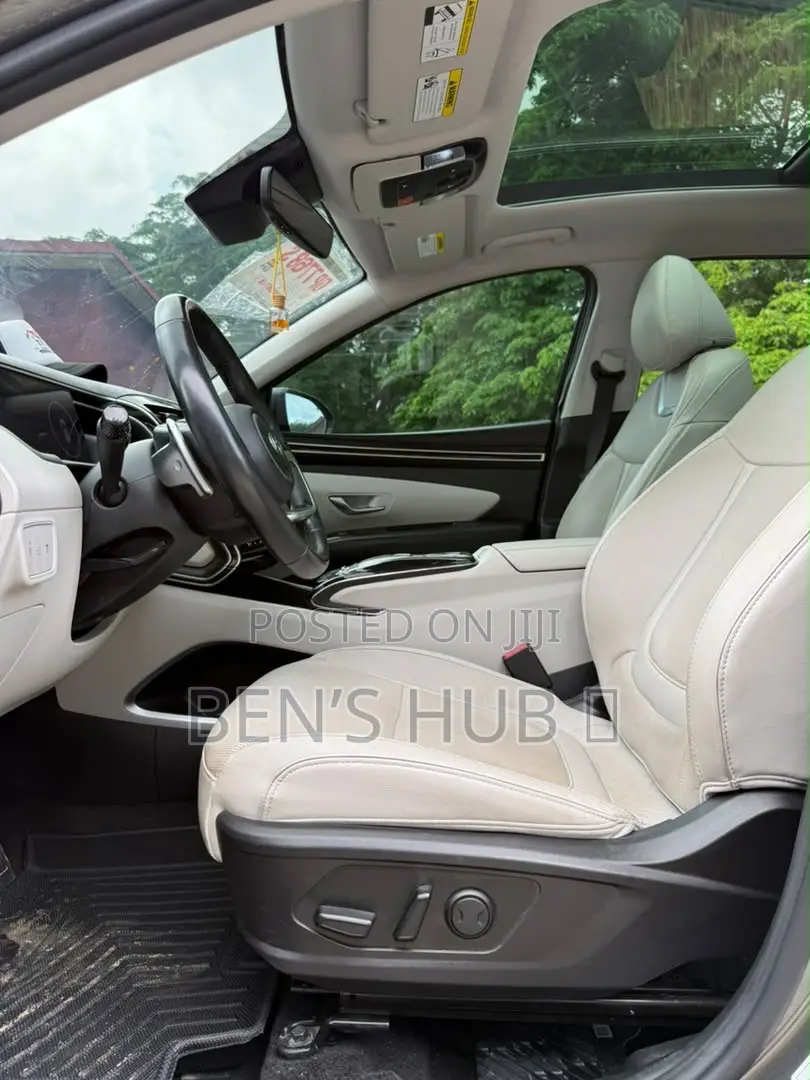Hyundai Tucson Limited 2023 Gray
