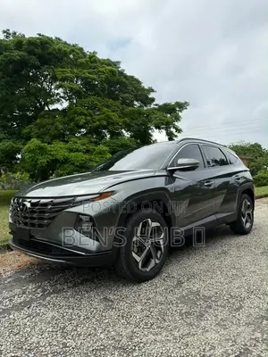 Hyundai Tucson Limited 2023 Gray
