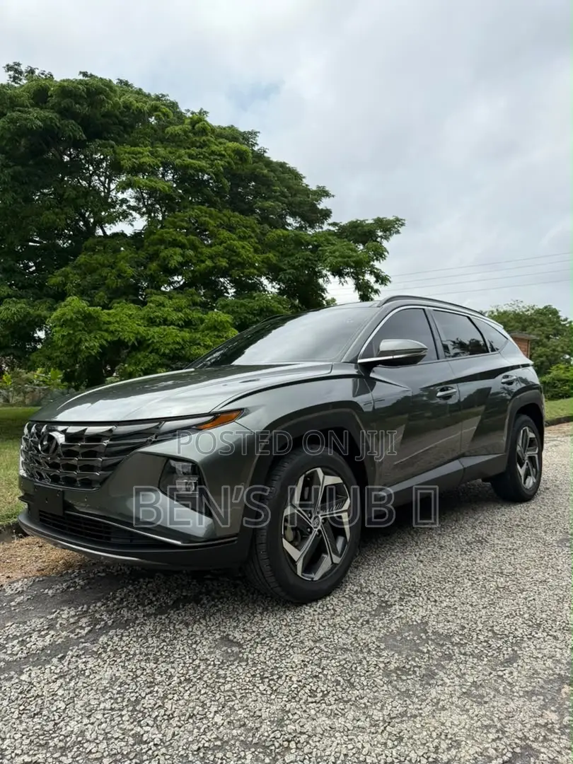 Hyundai Tucson Limited 2023 Gray