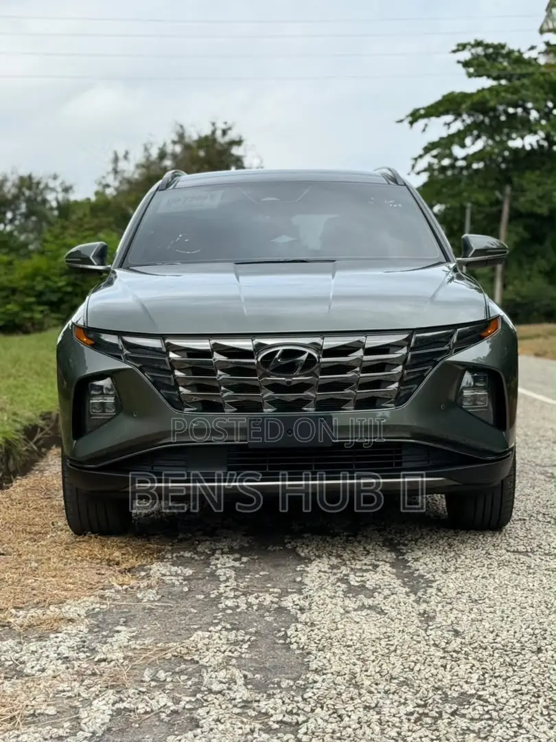 Hyundai Tucson Limited 2023 Gray