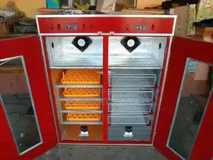 Egg Incubator
