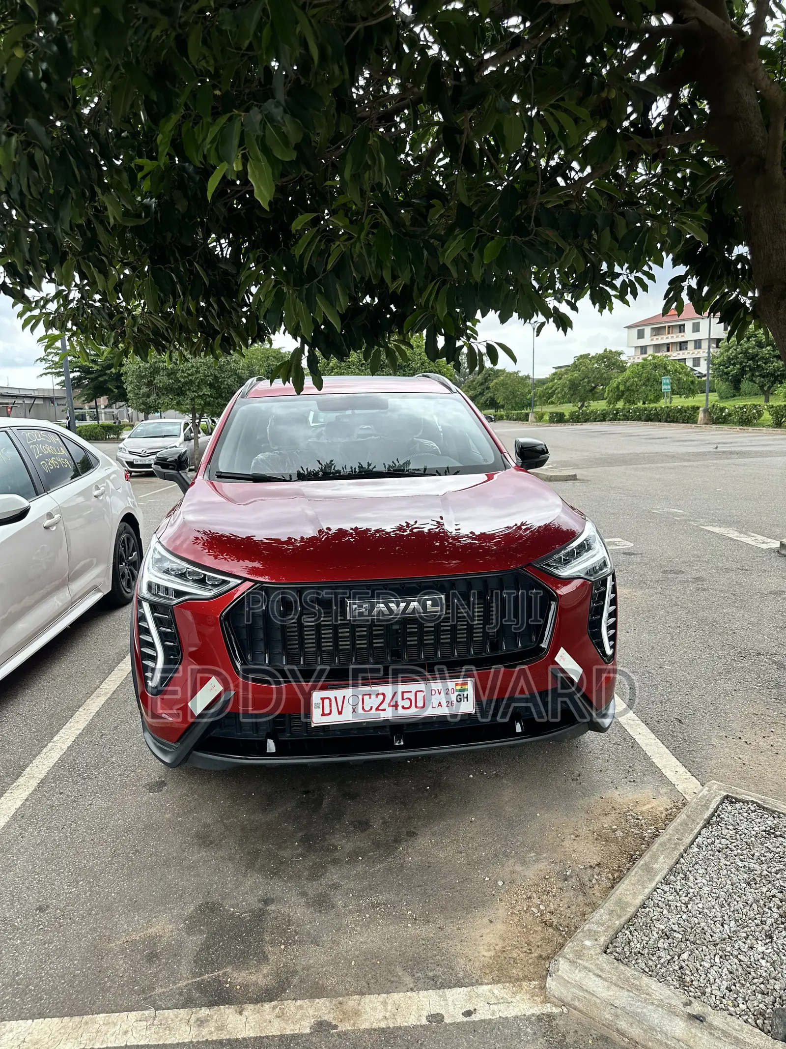 New Haval Jolion 2023 Pink