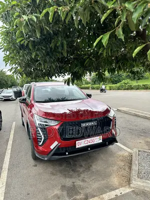 New Haval Jolion 2023 Pink
