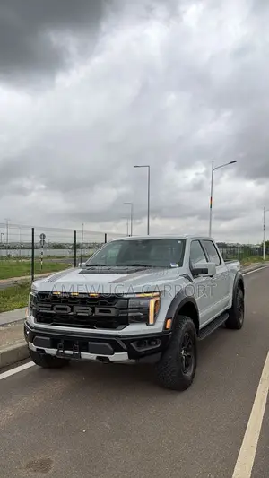 Ford F-150 Raptor 2024 Silver