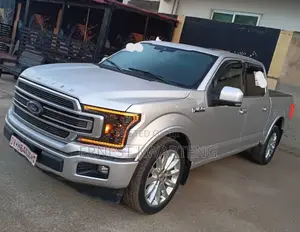 Ford F-150 Platinum 4x4 2019 Silver
