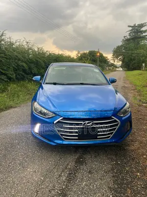 Hyundai Elantra 2017 Blue