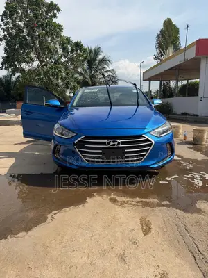 Hyundai Elantra 2017 Blue