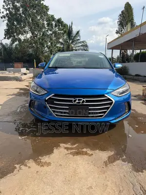 Hyundai Elantra 2017 Blue
