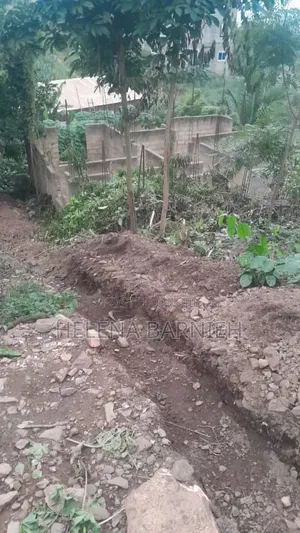 Genuine Land in Ashongman Estate for Sale