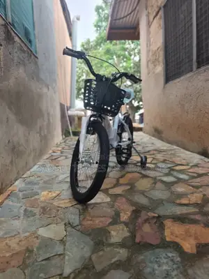 Kids 18 Inch Bicycle