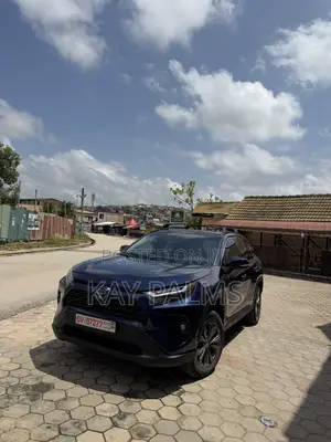 Toyota RAV4 XLE Premium AWD 2024 Blue