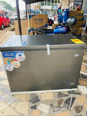Shop Nasco 339-LTR Chest Freezer