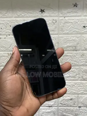 Google Pixel 9 Pro 256 GB Gray