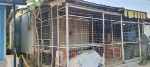 18x13 Feet Container for Sell