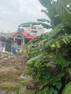 Half Plot 80x40ft Land for Sale at East Airport