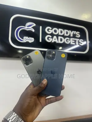 Apple iPhone 12 Pro 256 GB Gray