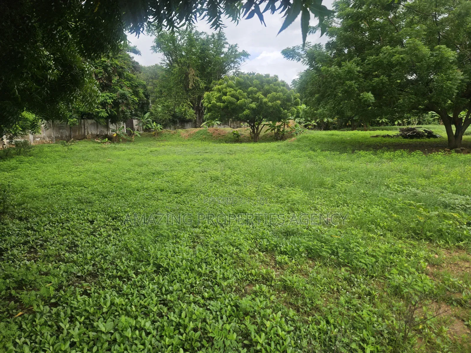 Tower
4.89 Acres of Land Multipurpose, Land for Sale at Ridge
