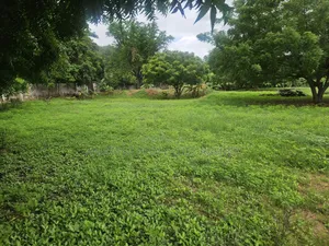 Tower
4.89 Acres of Land Multipurpose, Land for Sale at Ridge