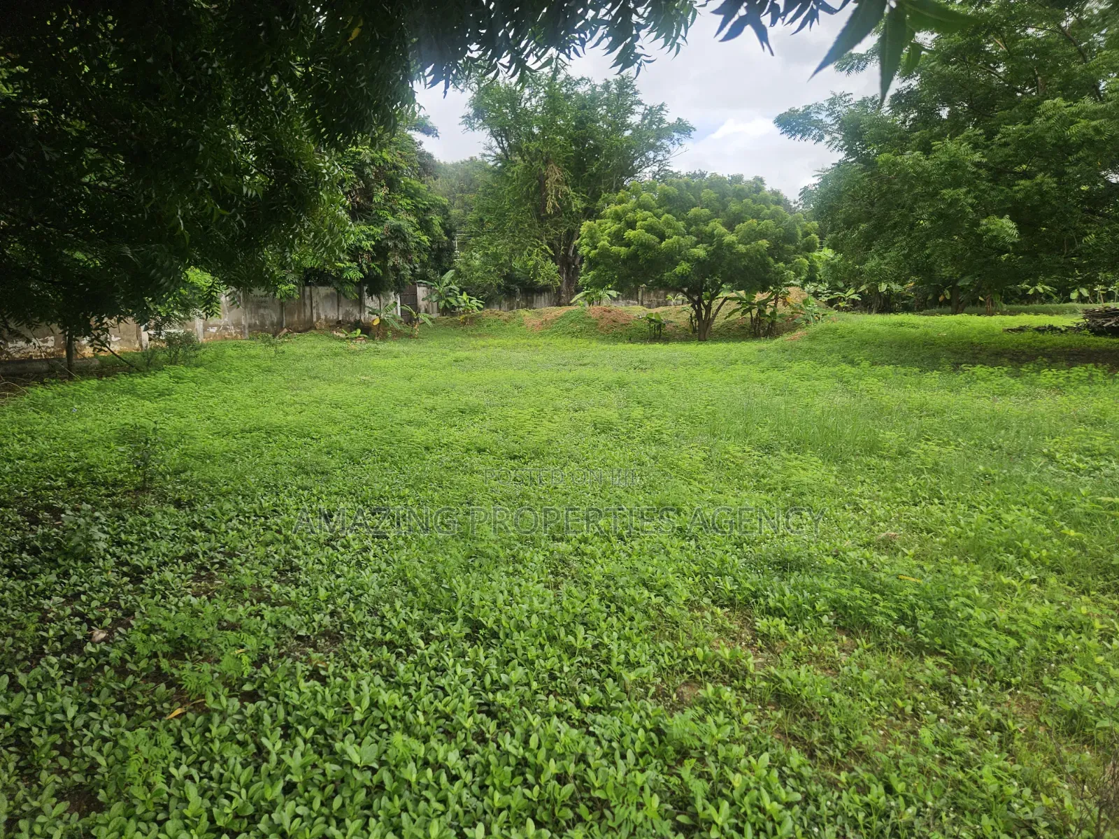 Tower
4.89 Acres of Land Multipurpose, Land for Sale at Ridge