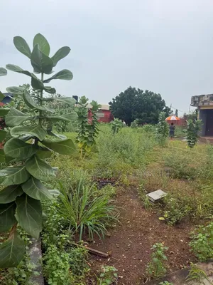 4 Plots for Sale at Lashibi Ahotor Fm