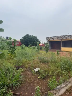 4 Plots for Sale at Lashibi Ahotor Fm