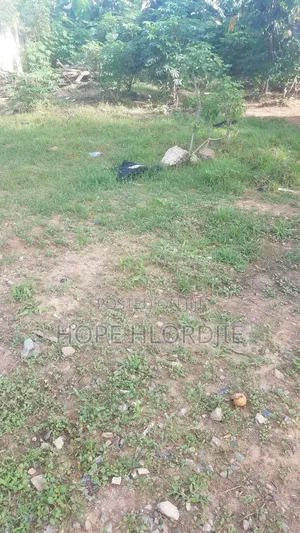 Three(3) Plots of Land for Sale at Ankarful Tikwekrom