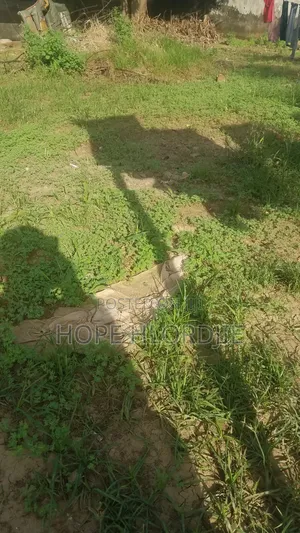 Three(3) Plots of Land for Sale at Ankarful Tikwekrom