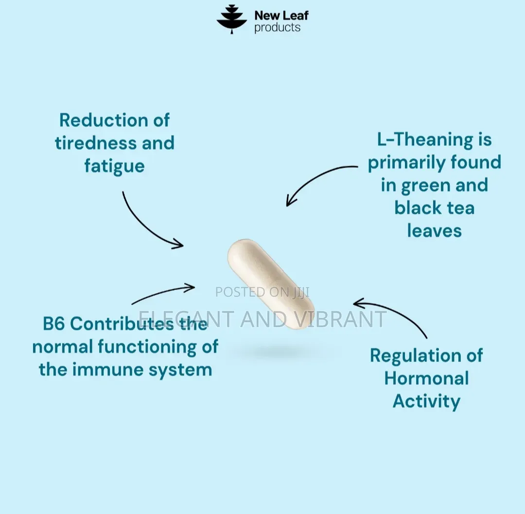 L-Theanine Enriched With Vitamin B6 - 120 High Strength 400mg Capsules