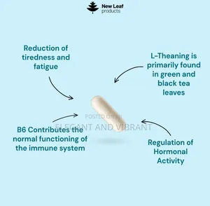 L-Theanine Enriched With Vitamin B6 - 120 High Strength 400mg Capsules