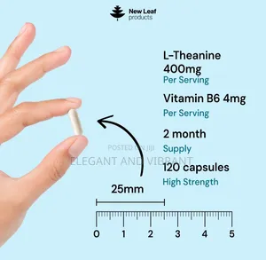 L-Theanine Enriched With Vitamin B6 - 120 High Strength 400mg Capsules