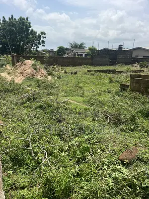 Half Plot of Land for Sale at Ablekuma