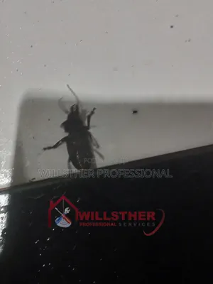 Your Number 1 Epa Certified Pest Controller And Fumigation Service