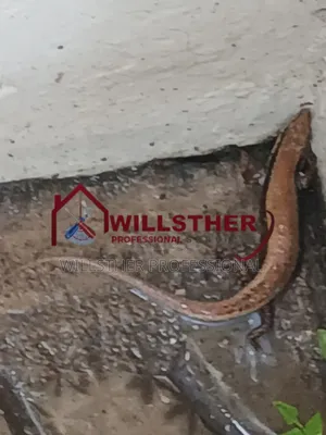 Your Number 1 Epa Certified Pest Controller And Fumigation Service