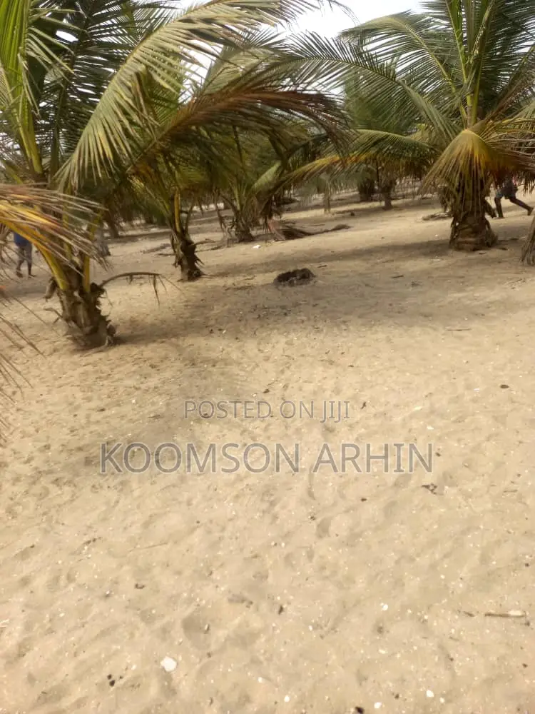 3 Acres of Beach Land - Ekumfi Asaafa