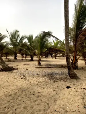 3 Acres of Beach Land - Ekumfi Asaafa
