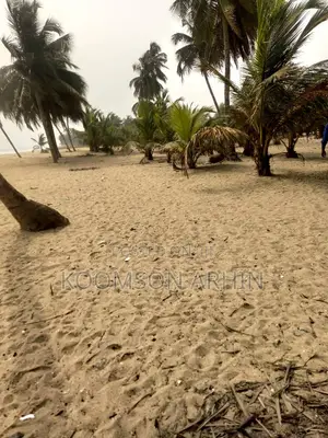 3 Acres of Beach Land - Ekumfi Asaafa
