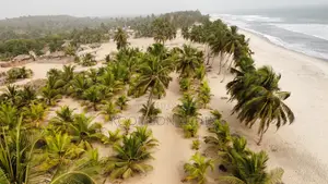 3 Acres of Beach Land - Ekumfi Asaafa