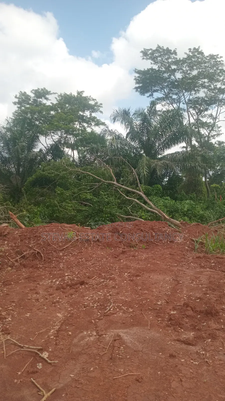 Alpha Properties Estate Land for Sale at Kasoa Buduatta Odumase