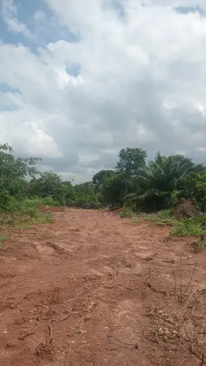 Alpha Properties Estate Land for Sale at Kasoa Buduatta Odumase