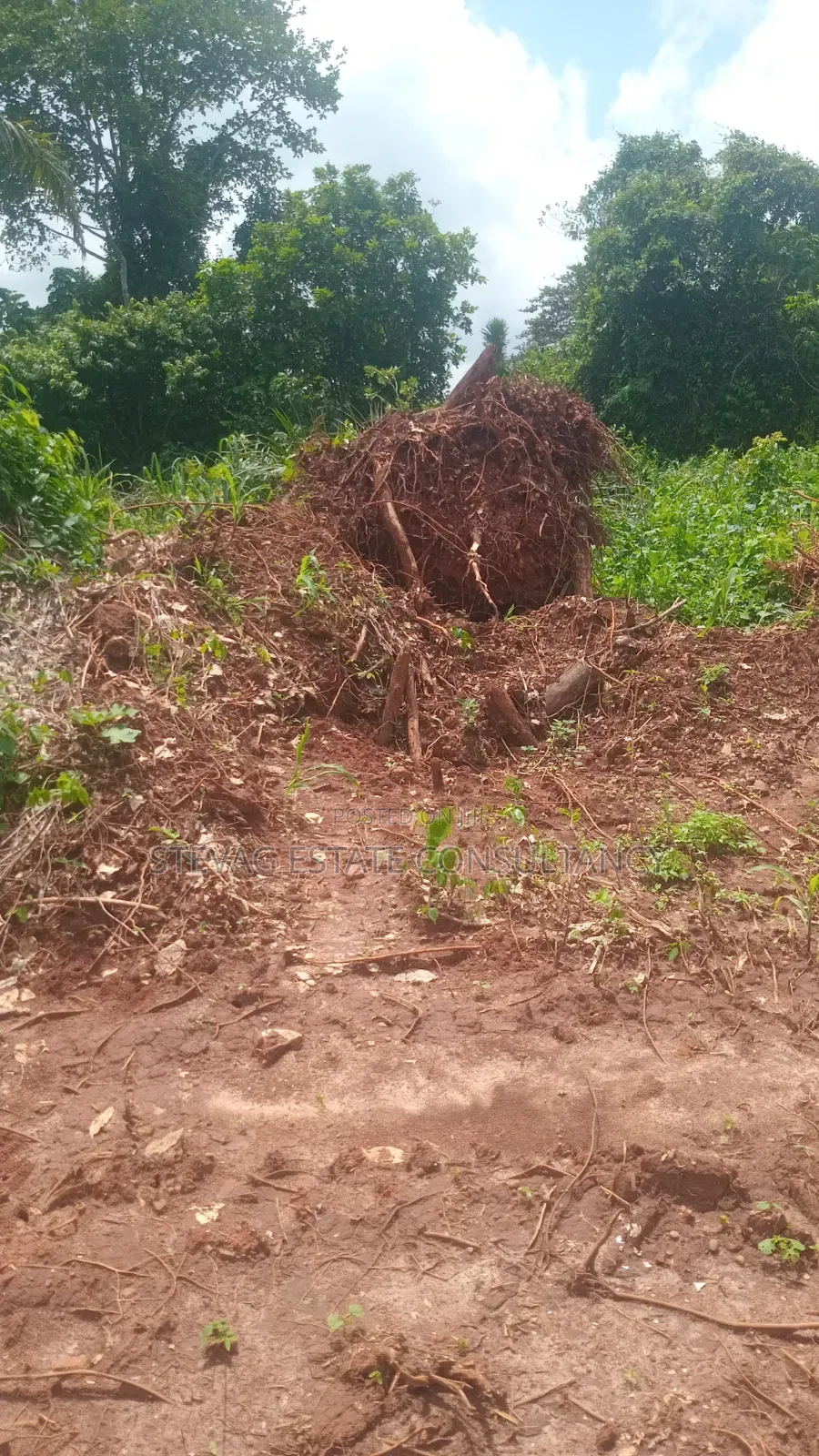 Estate Land for Sale at Kasoa Buduatta Odumase