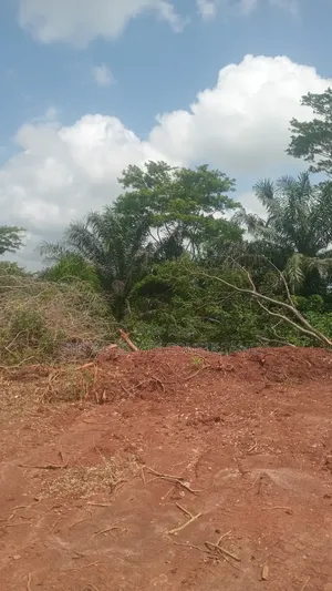 Estate Land for Sale at Kasoa Buduatta Odumase