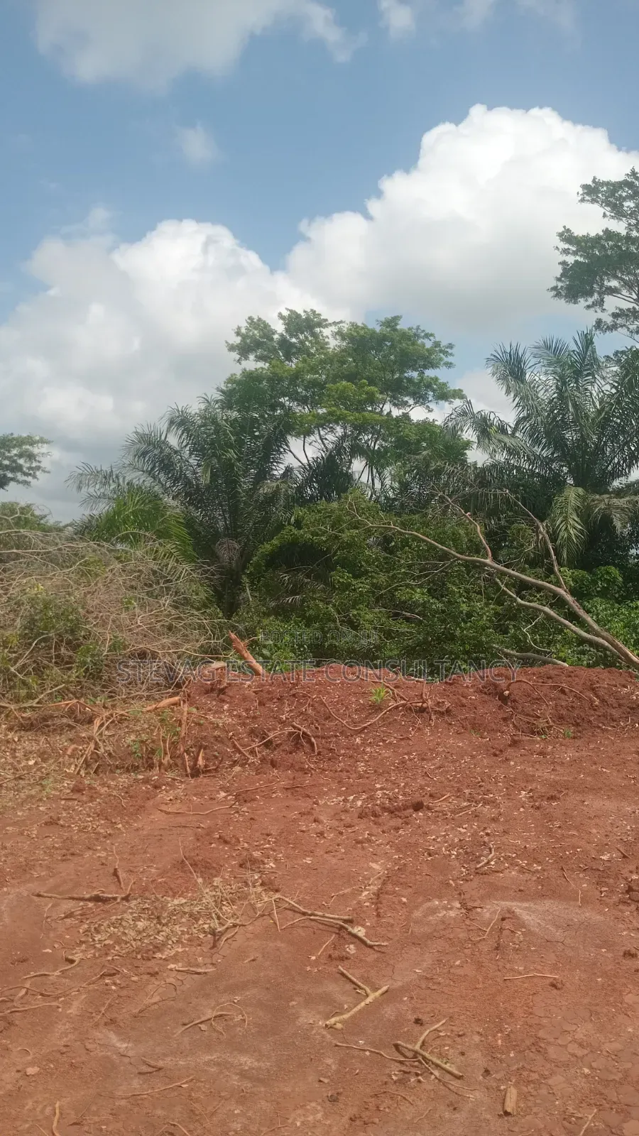 Estate Land for Sale at Kasoa Buduatta Odumase
