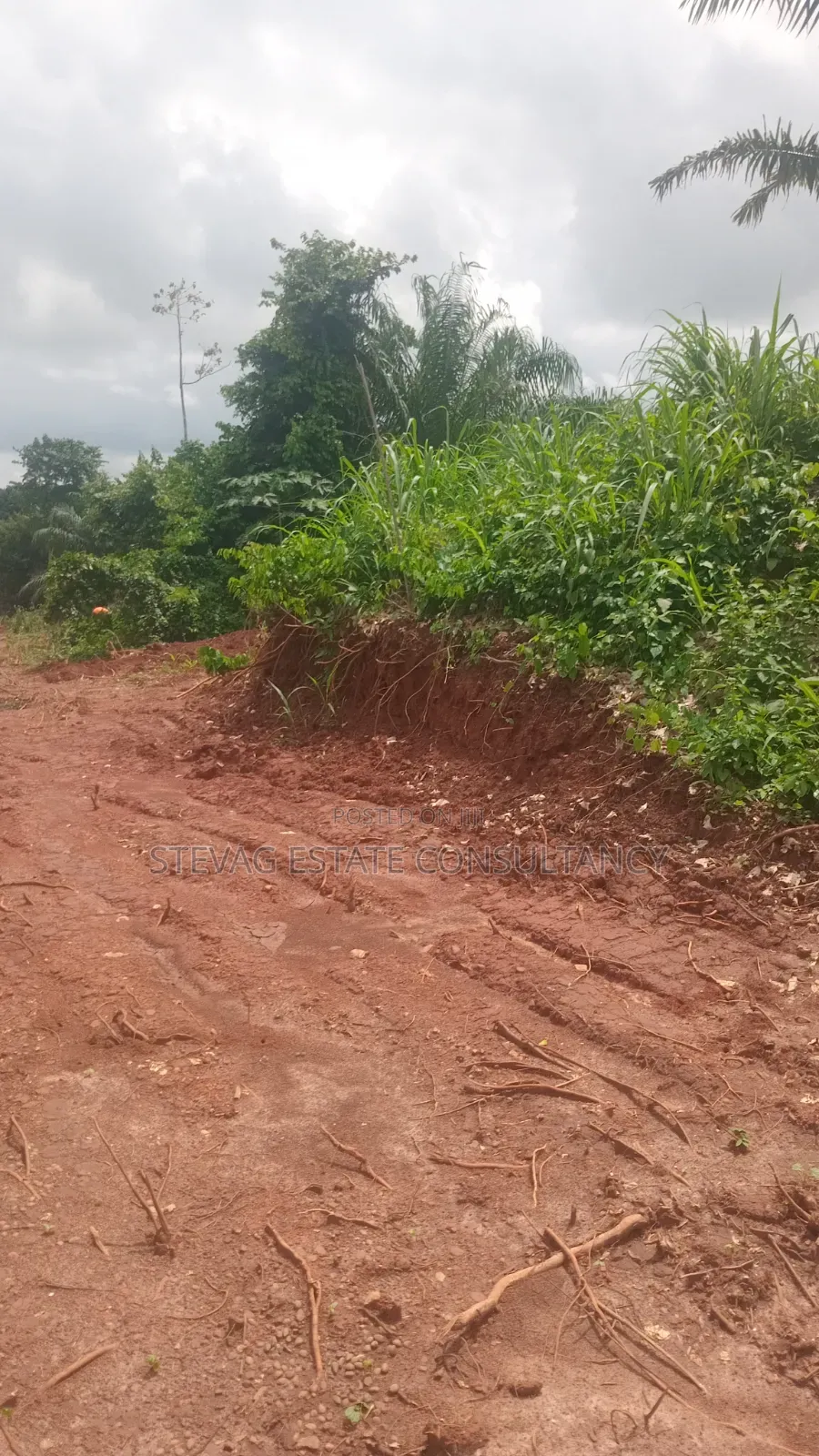Estate Land for Sale at Kasoa Buduatta Odumase