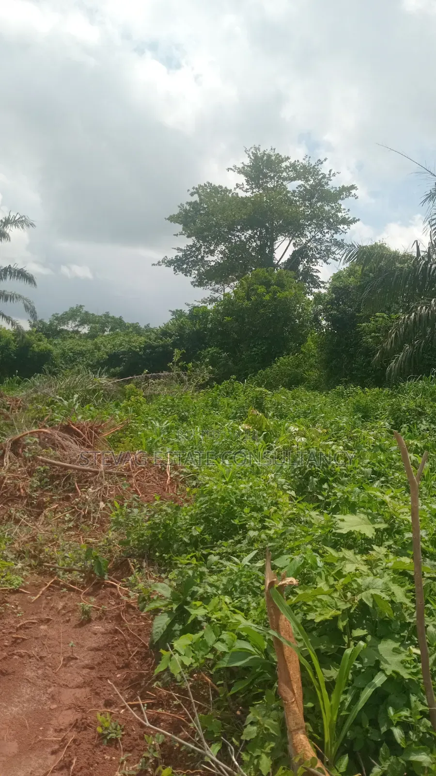 Land for Sale at Kasoa Buduatta