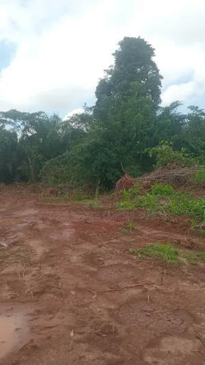 Land for Sale at Kasoa Buduatta